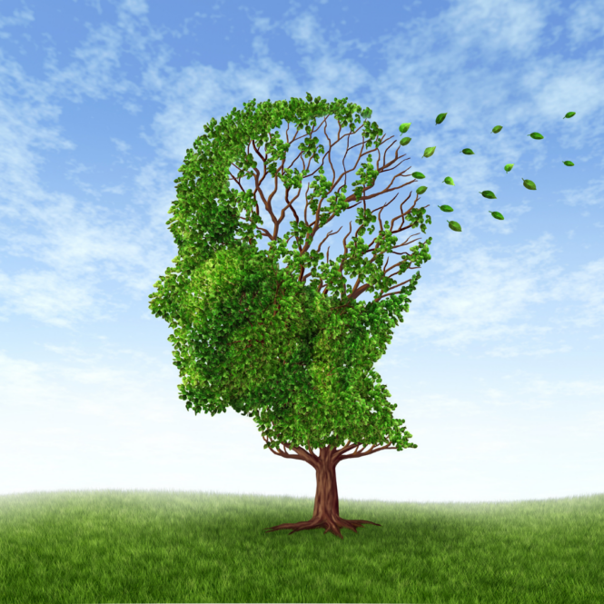 Cognition, Dementia & the Menopause